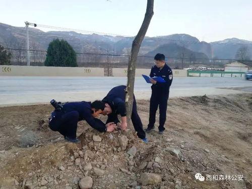 甘肃西和县爆料事件最新,揭开乡村乱象背后的真相  第3张